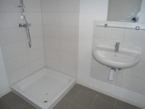 apt 1er étage (2)
